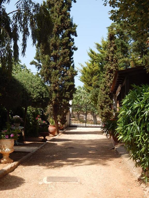 Markópoulon Gallery Basement In Villa Vravrona מראה חיצוני תמונה